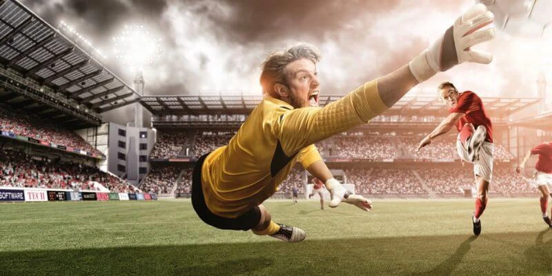 Lý do vì sao nên chọn Crown sports