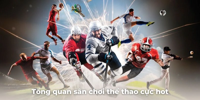 Tìm hiểu về sảnh UC sports